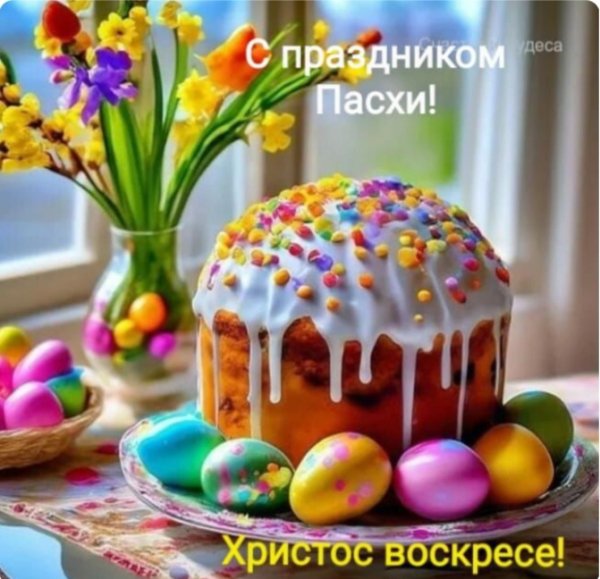 IMG 20260412 204205