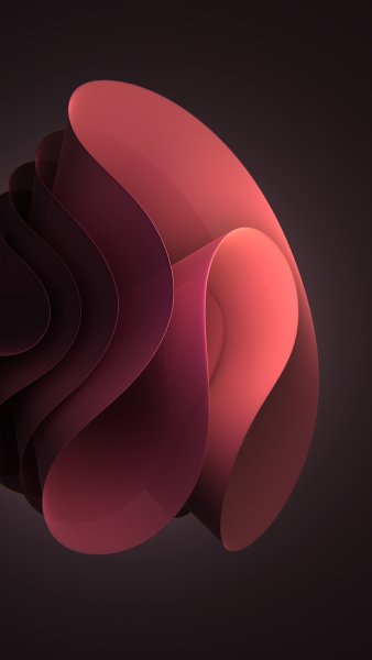 4 5771507521139248795