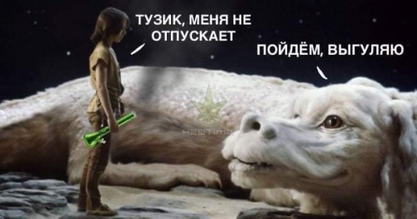file_89042696