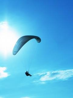 file_58474642