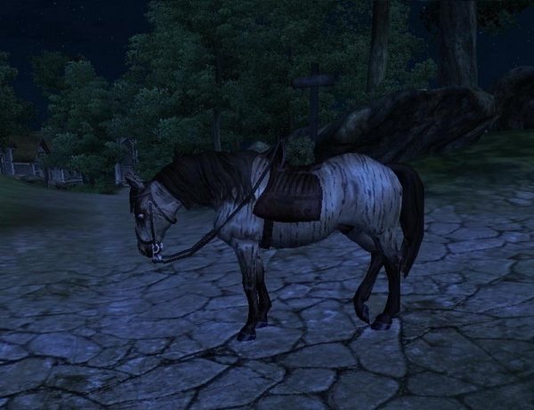 Horse Management