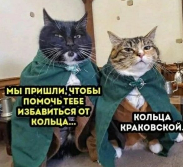 file_95144811