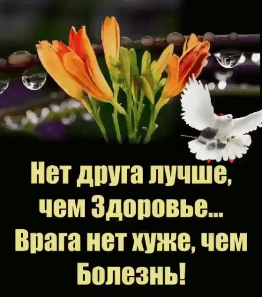 IMG 20210506 082849