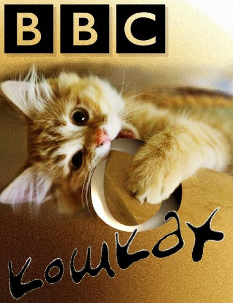 BBC o kowkah