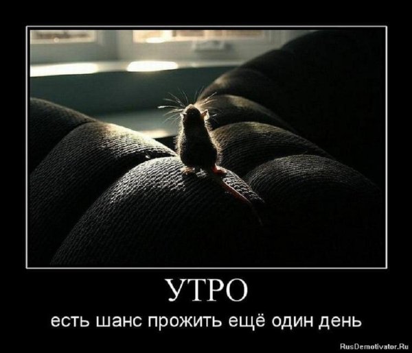 УТРО