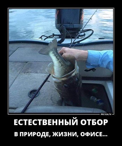 file_78334972
