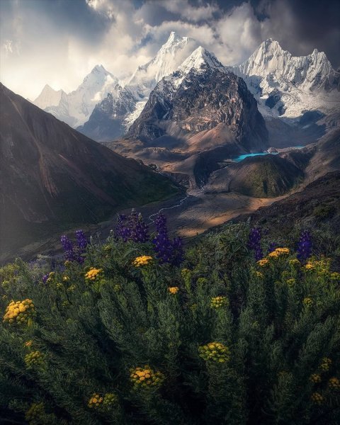 file_101738203