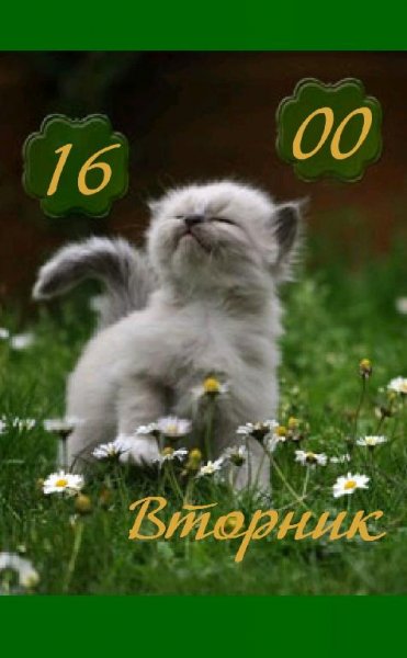 На прогулке