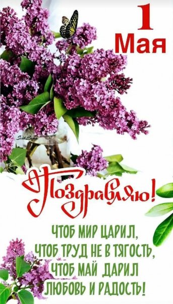 IMG 20260502 234712