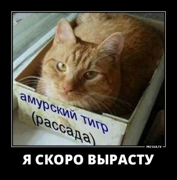 file_77831280