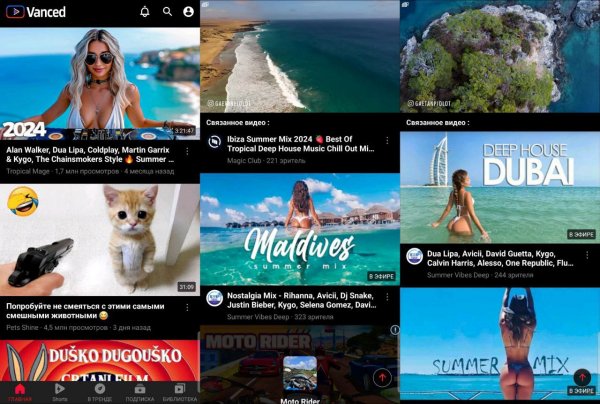 YouTubePremium-5.3.81.312