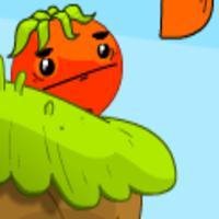 Feed Tomato