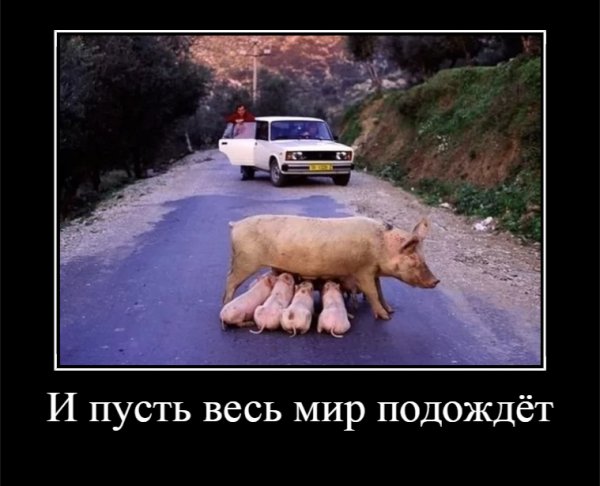 И пусть весь мир подождёт
