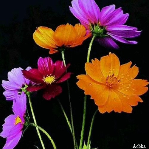 file_97090987
