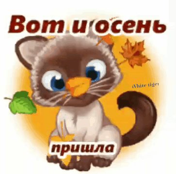 file_78702083