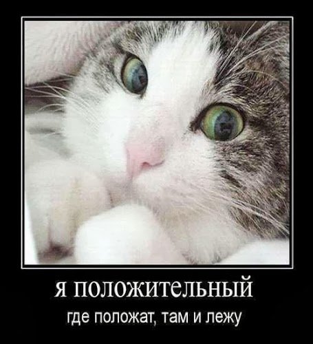 file_77955882