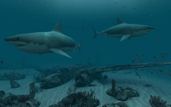 Sharks.Great.White 3D Screensaver