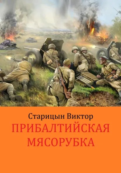 Старицын. Боевой 41-й год 3. Прибалтийская мясорубка