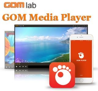 GOM Player 2.3.8 Build 5262