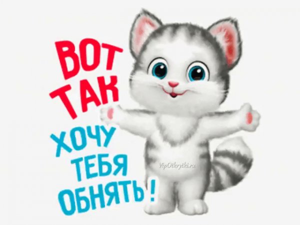 IMG 20200126 070517