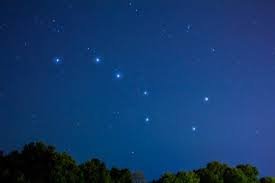 Images (21)