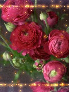 0 cc6a3 f8455ce8 L