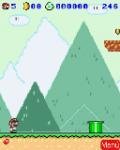 supermario nucehrmn