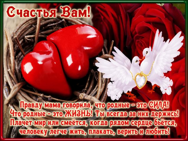fceb
