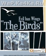 The Birds - Evil has Wings
