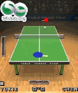 table tennis star