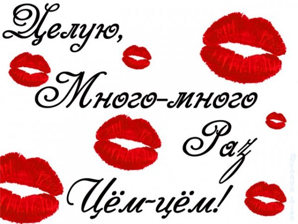 Целую много раз