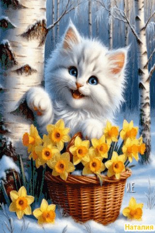 file_102432654