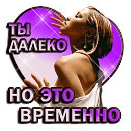 file_73962460