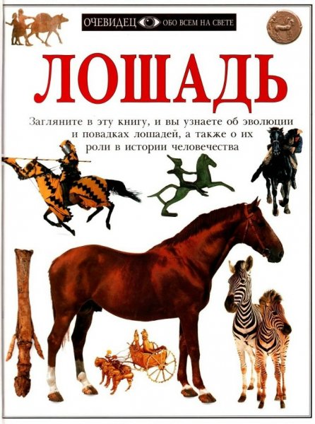 Лошадь - 1997
