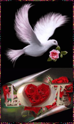 a55e95838d43f04f0a79ac05fd