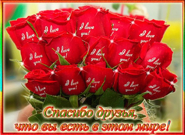 IMG 20180524 113251