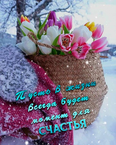 81b67922a0f89db23f9257bd8aac7272