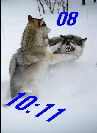 1 Волки