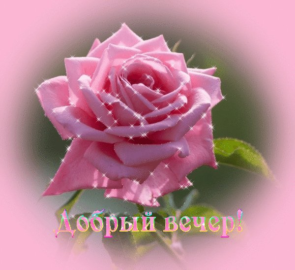 добрый вечер 084086