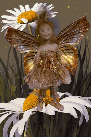 IMG 20190823 181736