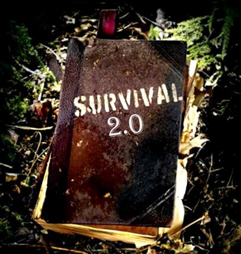 Tanchiki SURVIVAL 2
