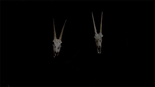 american-horror-story-dark-demon-evil-Favim.co