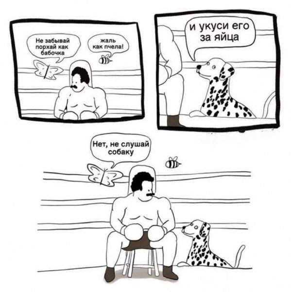 Юмор приколы (21)
