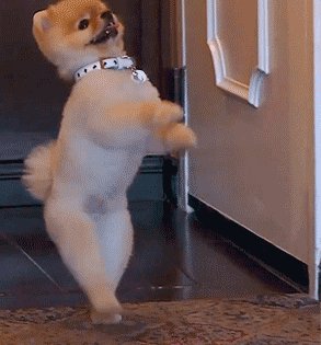 gif 1473878322