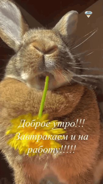 GIF 20240806 184053 485