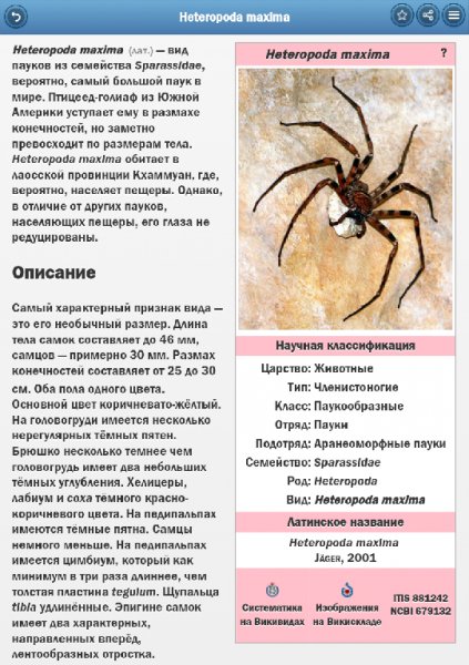 Пауки 5.2.0