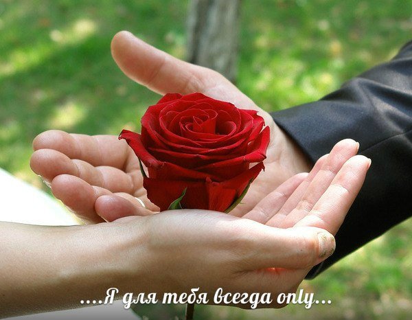 1NQgXJ6NmsWO4. 000