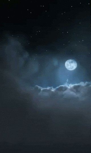tumblr nvf7m25Zx51tzbfwwo1 400