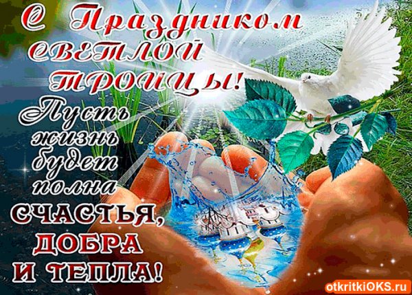 т