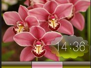 wonderfulo g6N1oOmj